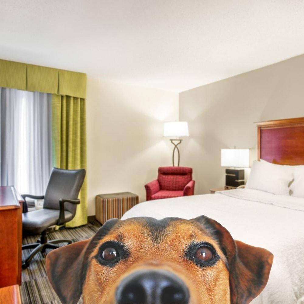 Hampton Inn Bowling Green Ky Exterior foto